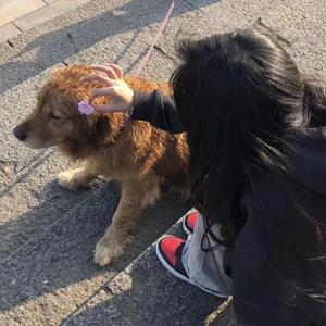 国产一级精品高清一级毛片
