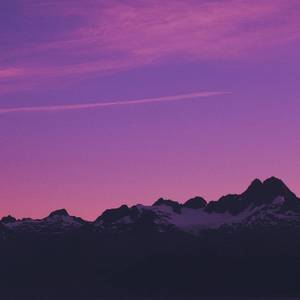 国产一级精品高清一级毛片
