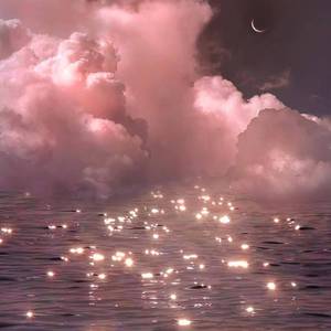 国产一级精品高清一级毛片
