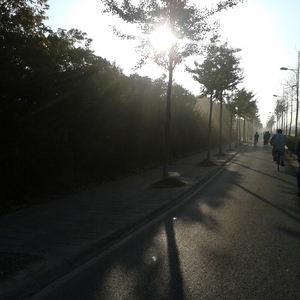 国产一级精品高清一级毛片
