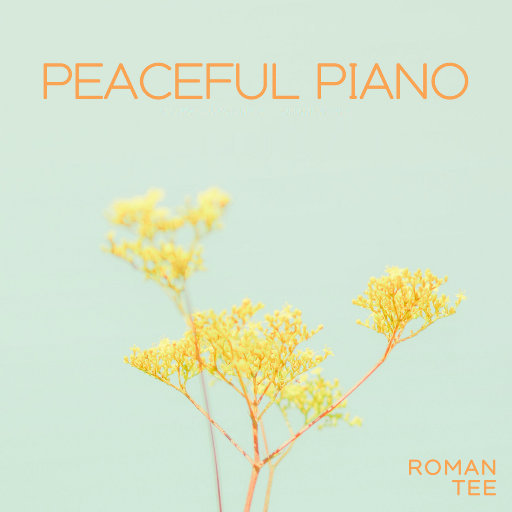 国产一级精品高清一级毛片
